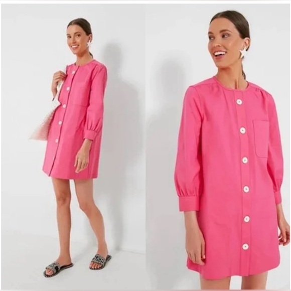 Tuckernuck Dresses & Skirts - Tuckernuck Pink Blake Mini A Line Button Down Feminine Barbie Shirt Dress Small